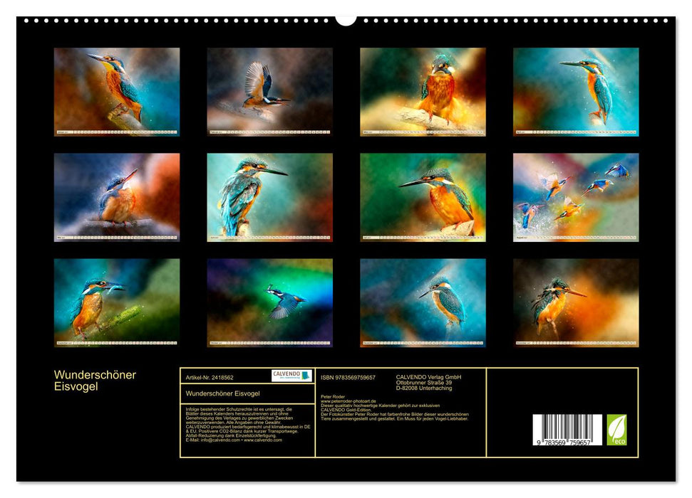 Wunderschöner Eisvogel (CALVENDO Premium Wandkalender 2027)