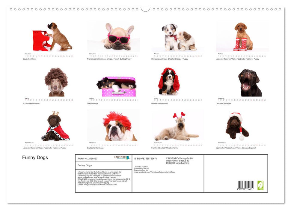 Funny Dogs (CALVENDO Wandkalender 2027)
