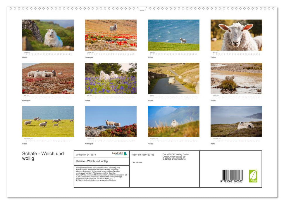 Schafe - Weich und wollig (CALVENDO Premium Wandkalender 2027)