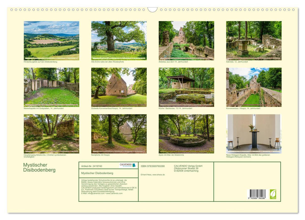 Mystischer Disibodenberg (CALVENDO Wandkalender 2027)