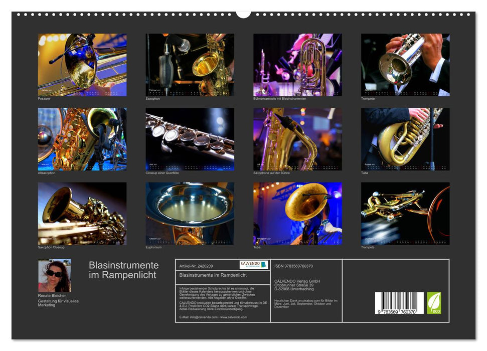 Blasinstrumente im Rampenlicht (CALVENDO Premium Wandkalender 2027)