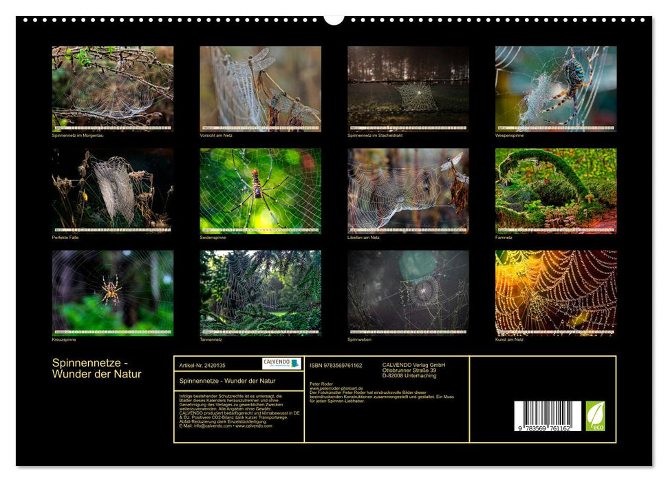 Spinnennetze - Wunder der Natur (CALVENDO Premium Wandkalender 2027)