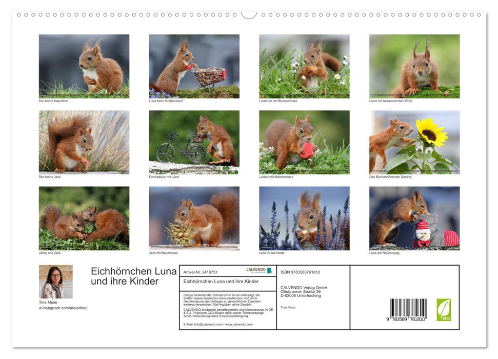 Eichhörnchen Luna und ihre Kinder (CALVENDO Premium Wandkalender 2027)