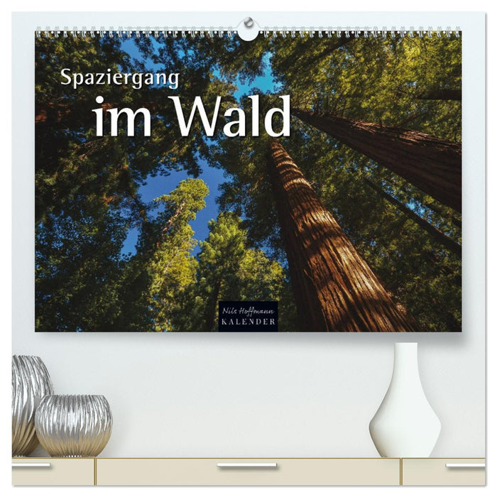 Spaziergang im Wald (CALVENDO Premium Wandkalender 2027)
