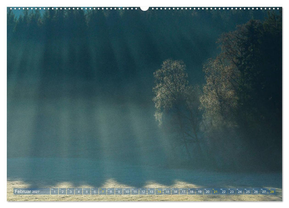 Spaziergang im Wald (CALVENDO Premium Wandkalender 2027)