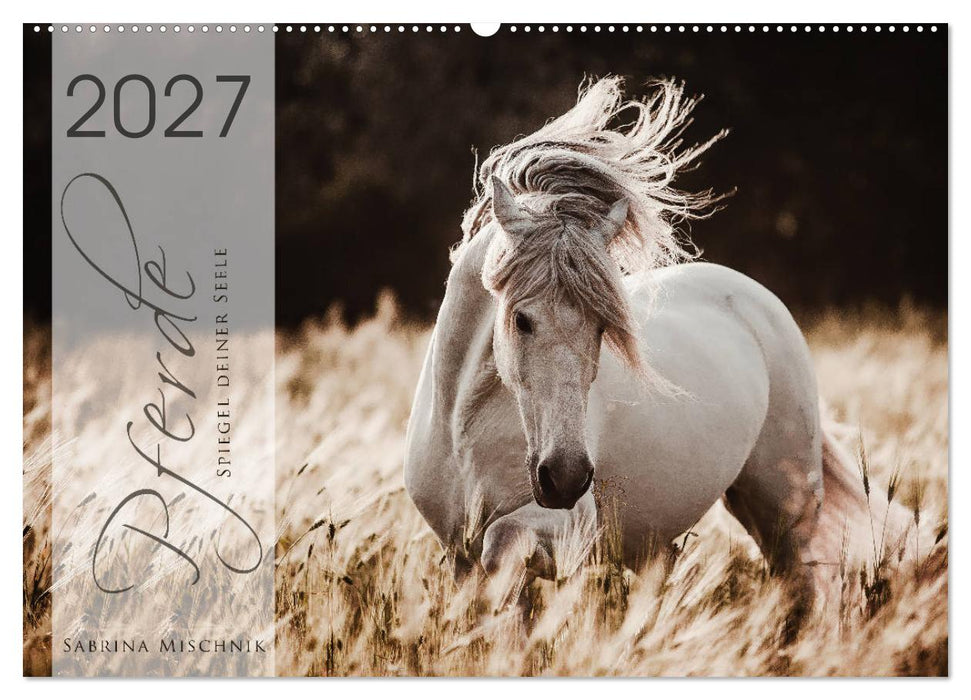 Spiegel deiner Seele (CALVENDO Wandkalender 2027)