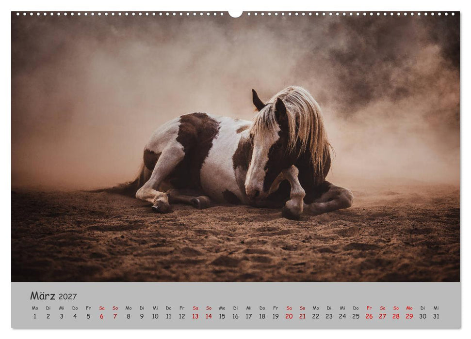 Spiegel deiner Seele (CALVENDO Wandkalender 2027)