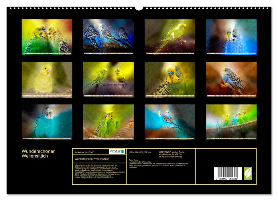 Wunderschöner Wellensittich (CALVENDO Premium Wandkalender 2027)