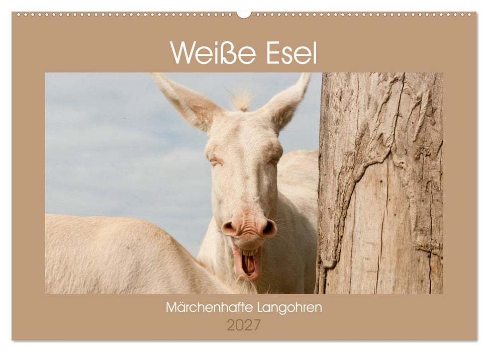 Weiße Esel - Märchenhafte Langohren (CALVENDO Wandkalender 2027)