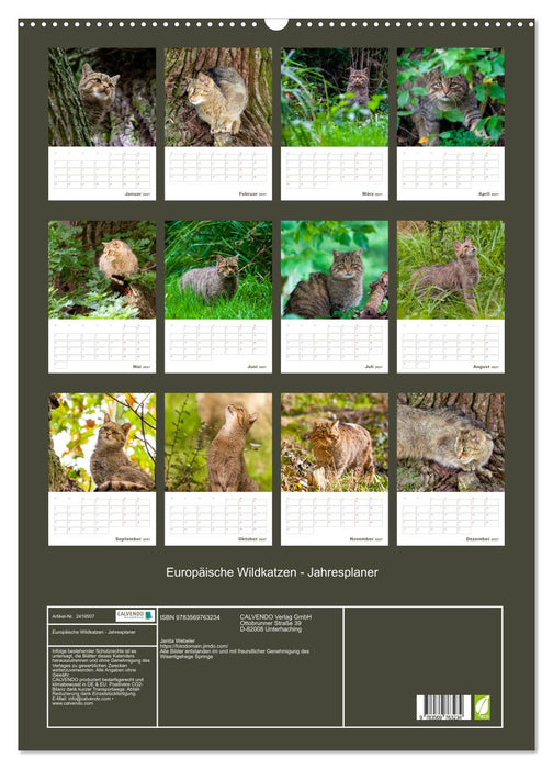 Europäische Wildkatzen - Jahresplaner (CALVENDO Wandkalender 2027)