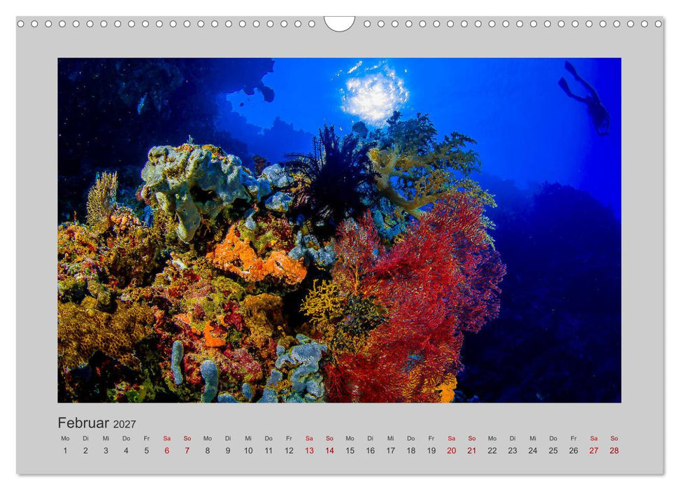 Korallen-Riffe Taucherträume (CALVENDO Wandkalender 2027)