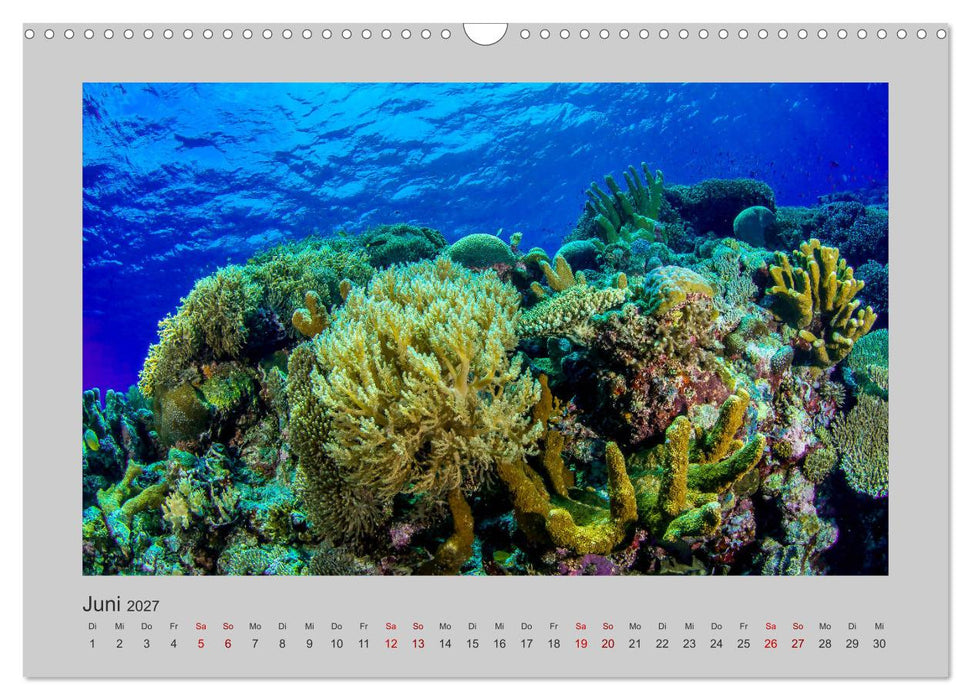 Korallen-Riffe Taucherträume (CALVENDO Wandkalender 2027)