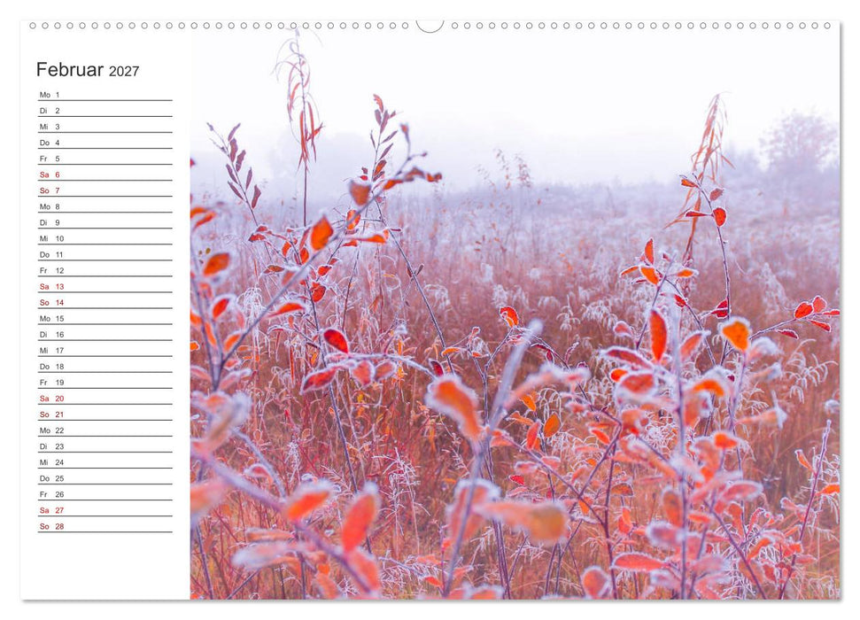 Worpswede - Naturschönheiten im Teufelsmoor (CALVENDO Wandkalender 2027)