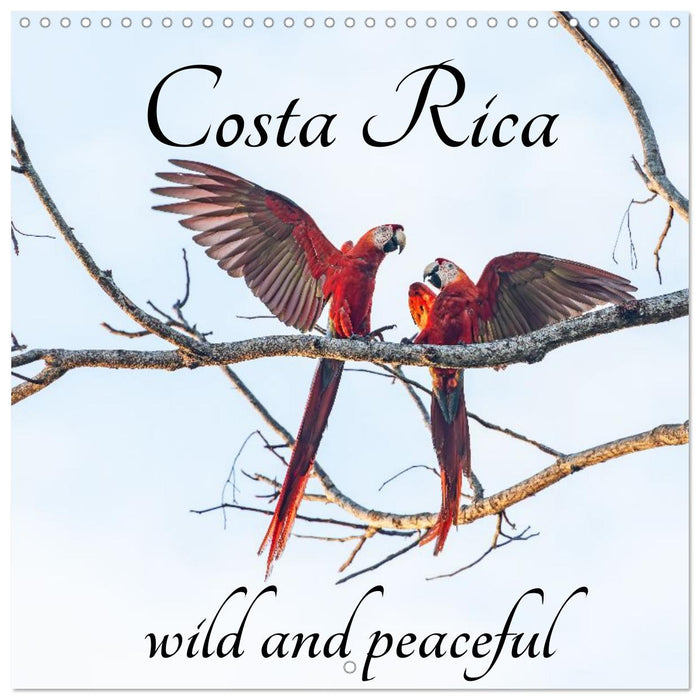 Costa Rica wild and peaceful (CALVENDO Monthly Calendar 2027)
