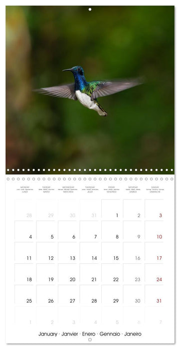 Costa Rica wild and peaceful (CALVENDO Monthly Calendar 2027)