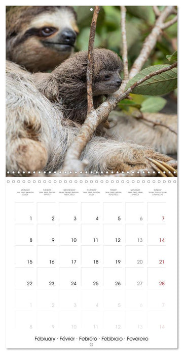 Costa Rica wild and peaceful (CALVENDO Monthly Calendar 2027)