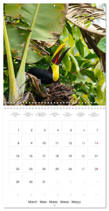 Costa Rica wild and peaceful (CALVENDO Monthly Calendar 2027)