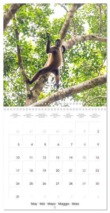 Costa Rica wild and peaceful (CALVENDO Monthly Calendar 2027)