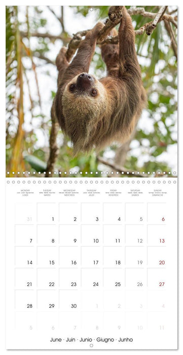 Costa Rica wild and peaceful (CALVENDO Monthly Calendar 2027)