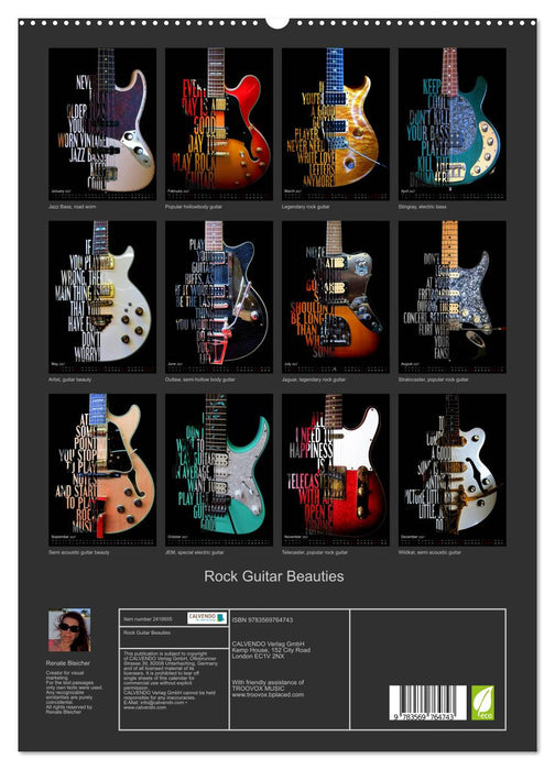 Rock Guitar Beauties (CALVENDO Premium-Calendar 2027)