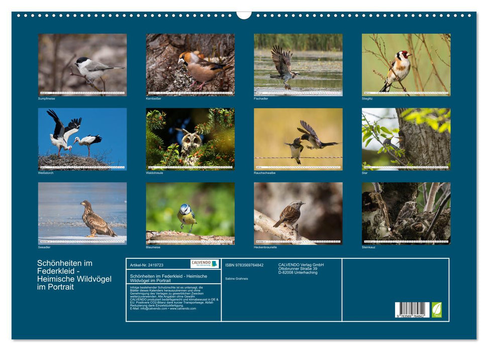 Schönheiten im Federkleid - Heimische Wildvögel im Portrait (CALVENDO Wandkalender 2027)