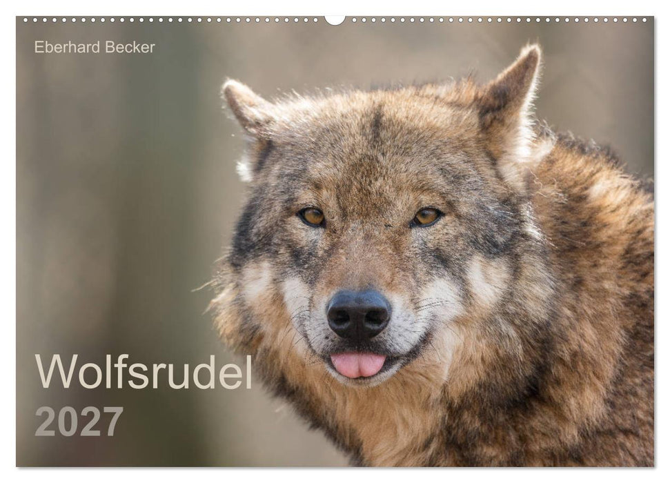 Wolfsrudel (CALVENDO Wandkalender 2027)