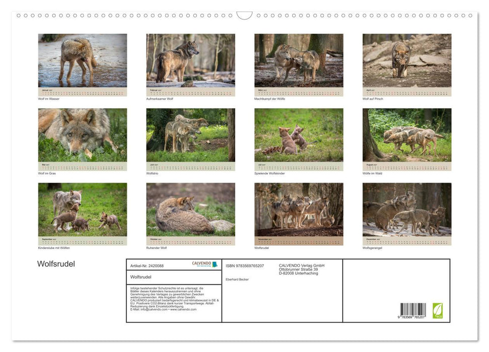 Wolfsrudel (CALVENDO Wandkalender 2027)
