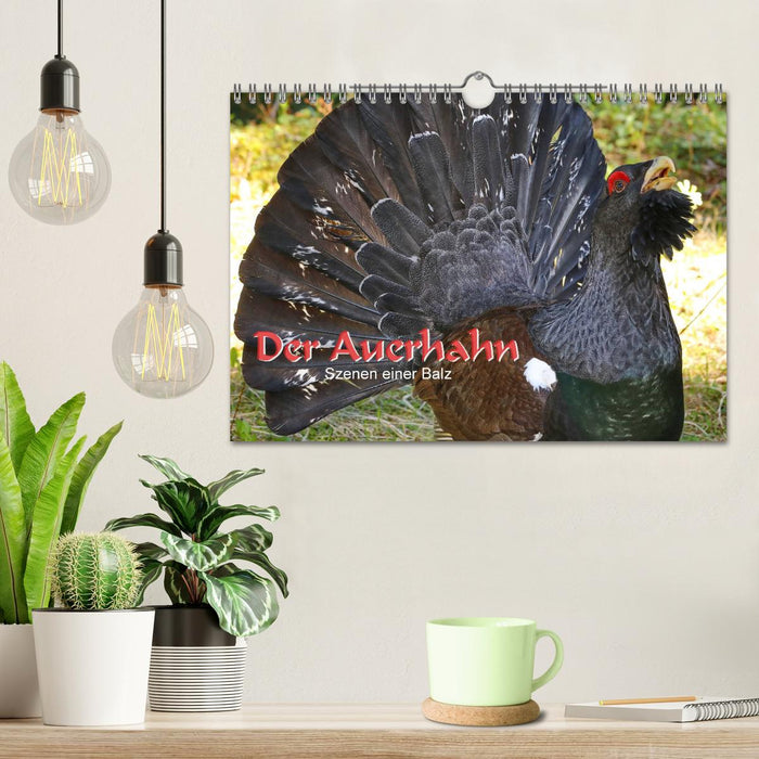 Der Auerhahn - Szenen einer Balz (CALVENDO Wandkalender 2027)