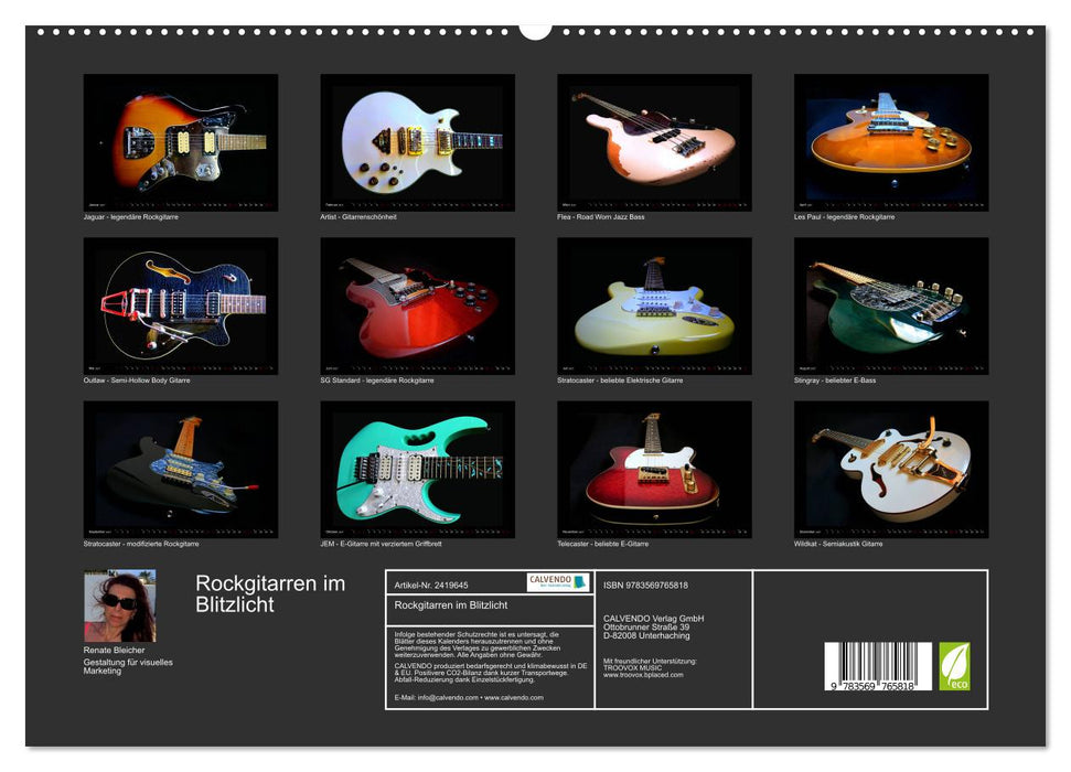 Rockgitarren im Blitzlicht (CALVENDO Premium Wandkalender 2027)