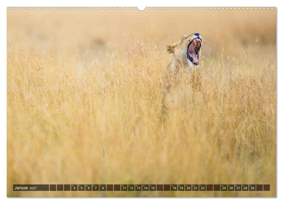 Auf Safari in Kenia 2027 (CALVENDO Premium Wandkalender 2027)