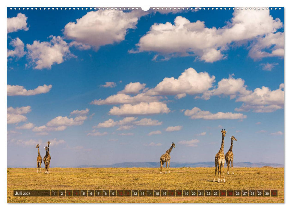 Auf Safari in Kenia 2027 (CALVENDO Premium Wandkalender 2027)