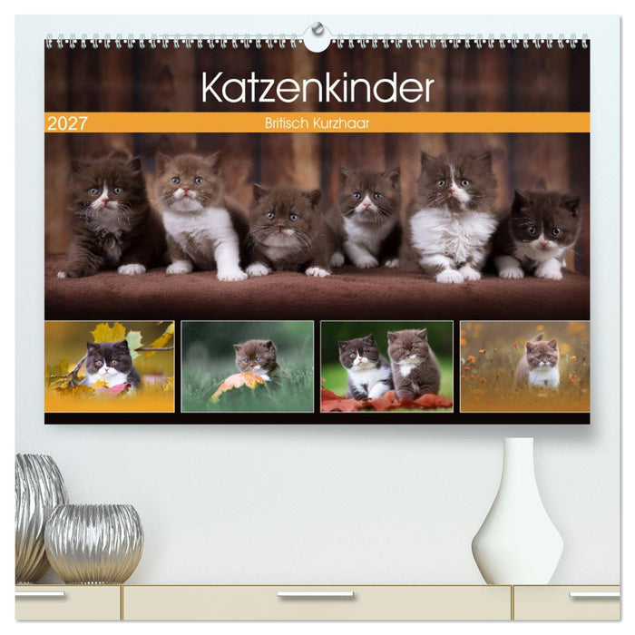 Katzenkinder - Britisch Kurzhaar (CALVENDO Premium Wandkalender 2027)