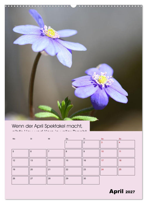 Wetter-Regeln der Bauern (CALVENDO Wandkalender 2027)