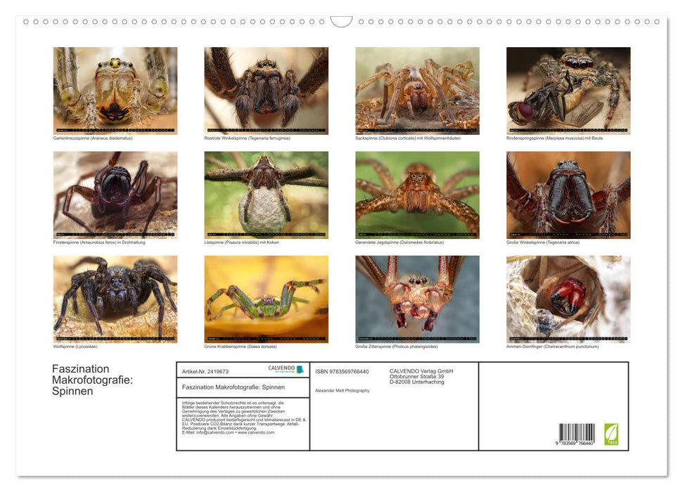 Faszination Makrofotografie: Spinnen (CALVENDO Wandkalender 2027)