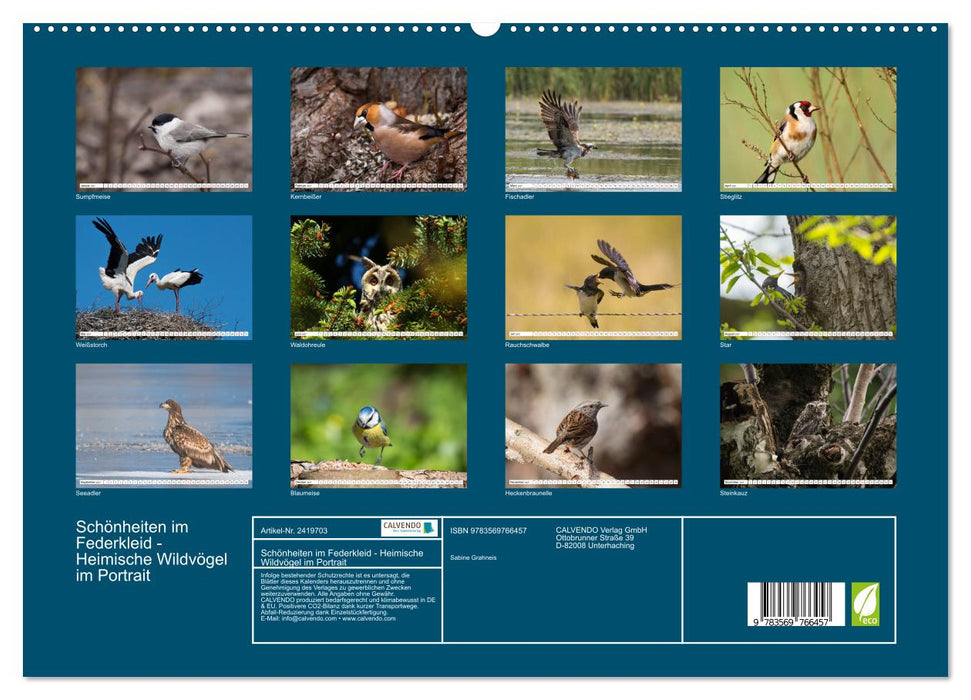 Schönheiten im Federkleid - Heimische Wildvögel im Portrait (CALVENDO Premium Wandkalender 2027)