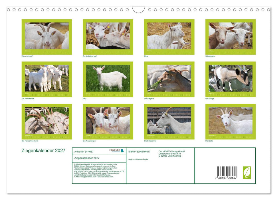 Ziegenkalender 2027 (CALVENDO Wandkalender 2027)