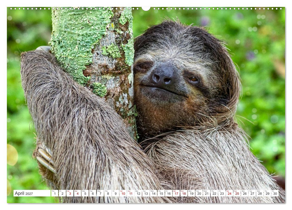 Costa Rica’s wild beauty (CALVENDO Premium-Calendar 2027)