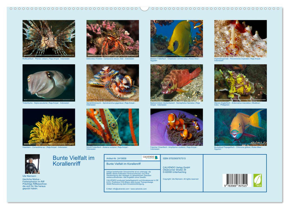 Bunte Vielfalt im Korallenriff (CALVENDO Premium Wandkalender 2027)