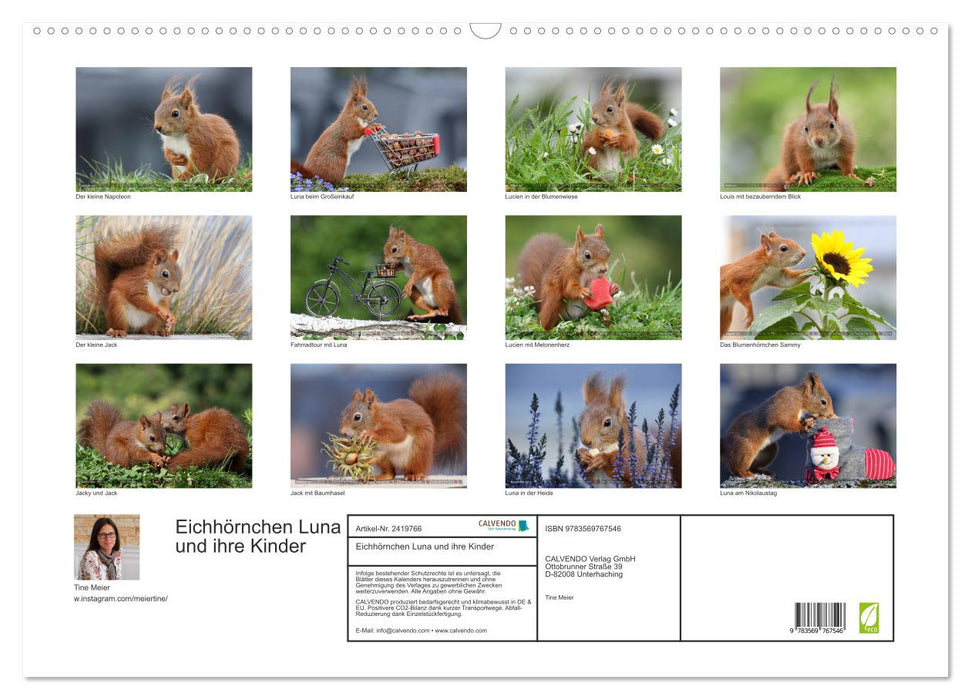 Eichhörnchen Luna und ihre Kinder (CALVENDO Wandkalender 2027)