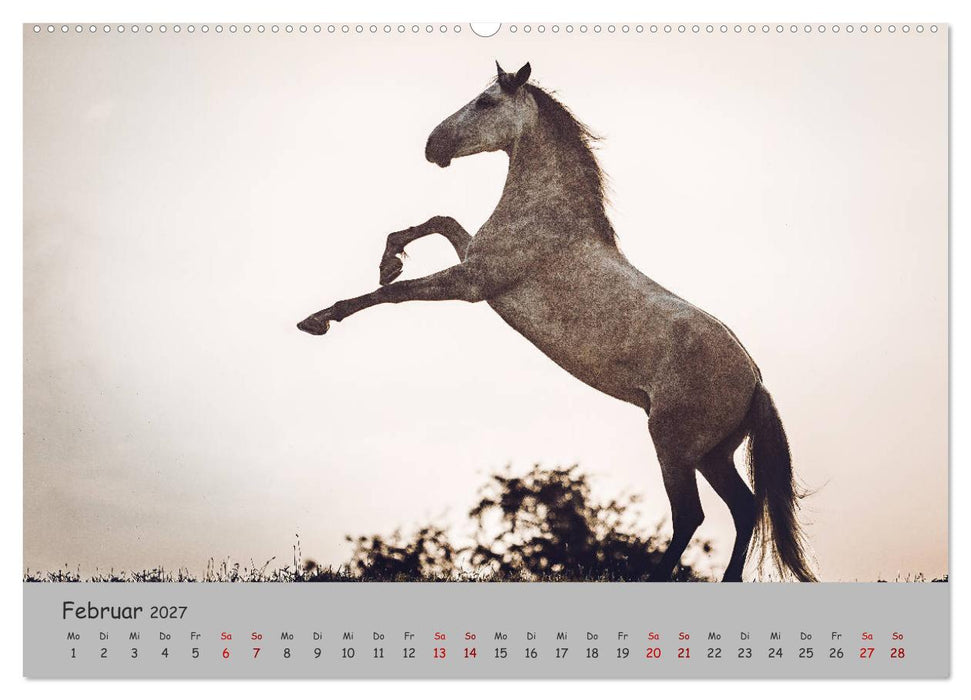 Spiegel deiner Seele (CALVENDO Premium Wandkalender 2027)