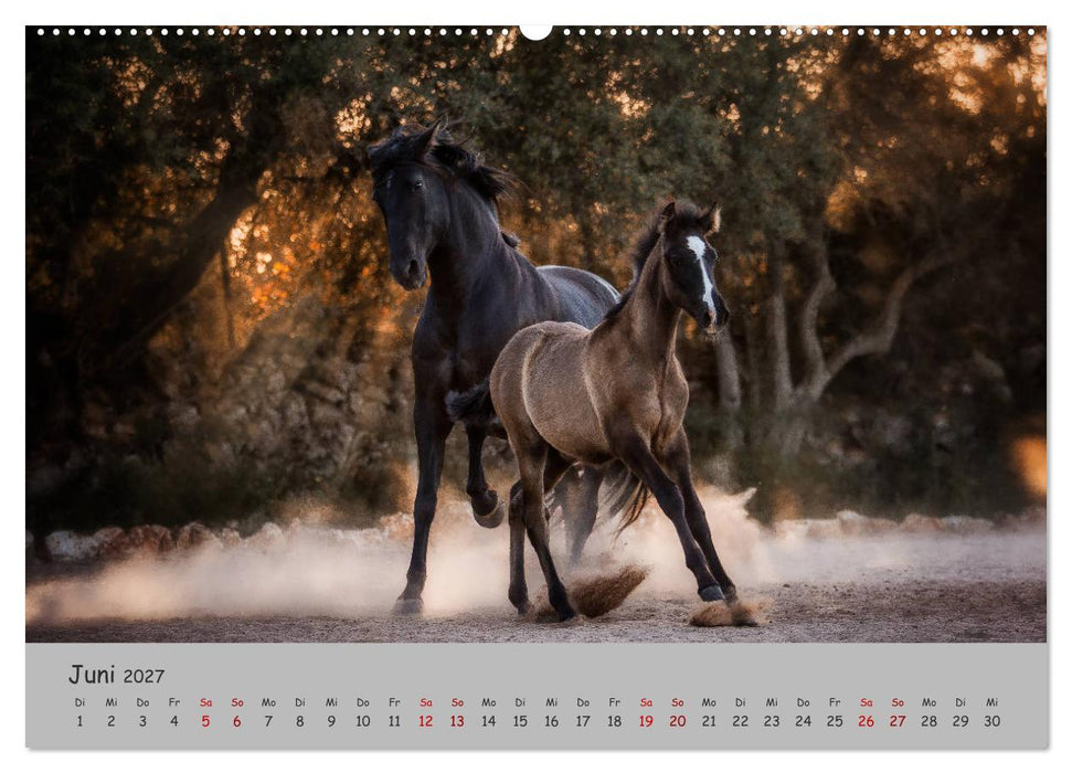 Spiegel deiner Seele (CALVENDO Premium Wandkalender 2027)