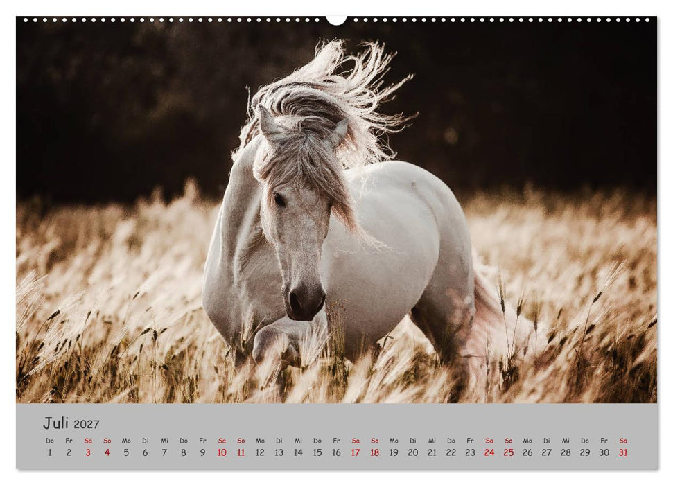 Spiegel deiner Seele (CALVENDO Premium Wandkalender 2027)