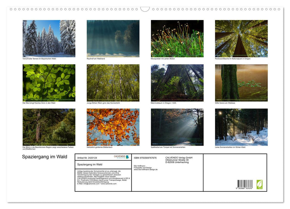 Spaziergang im Wald (CALVENDO Wandkalender 2027)