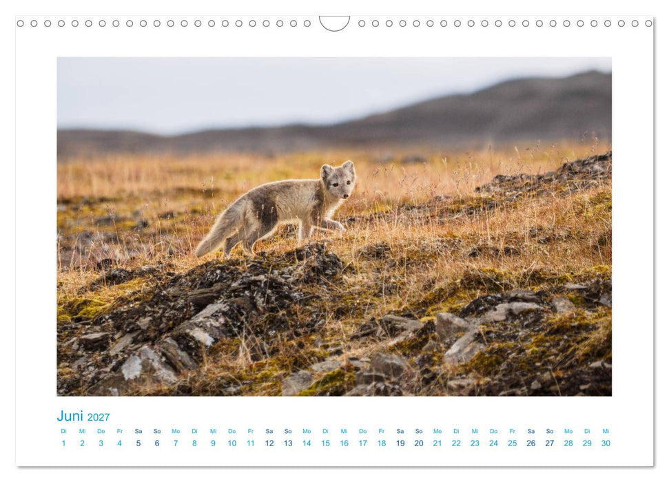 Spitzbergen - Landschaft - Eis - Tierwelt (CALVENDO Wandkalender 2027)