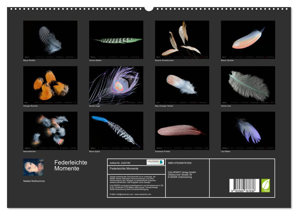 Federleichte Momente (CALVENDO Premium Wandkalender 2027)