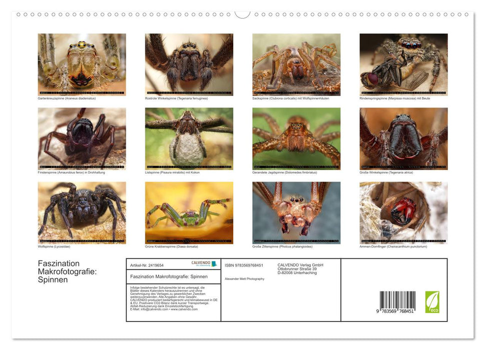 Faszination Makrofotografie: Spinnen (CALVENDO Premium Wandkalender 2027)
