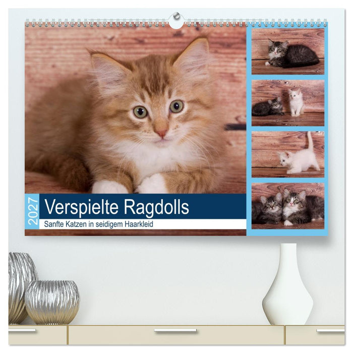 Verspielte Ragdolls -
Sanfte Katzen in seidigem Haarkleid (CALVENDO Premium Wandkalender 2027)