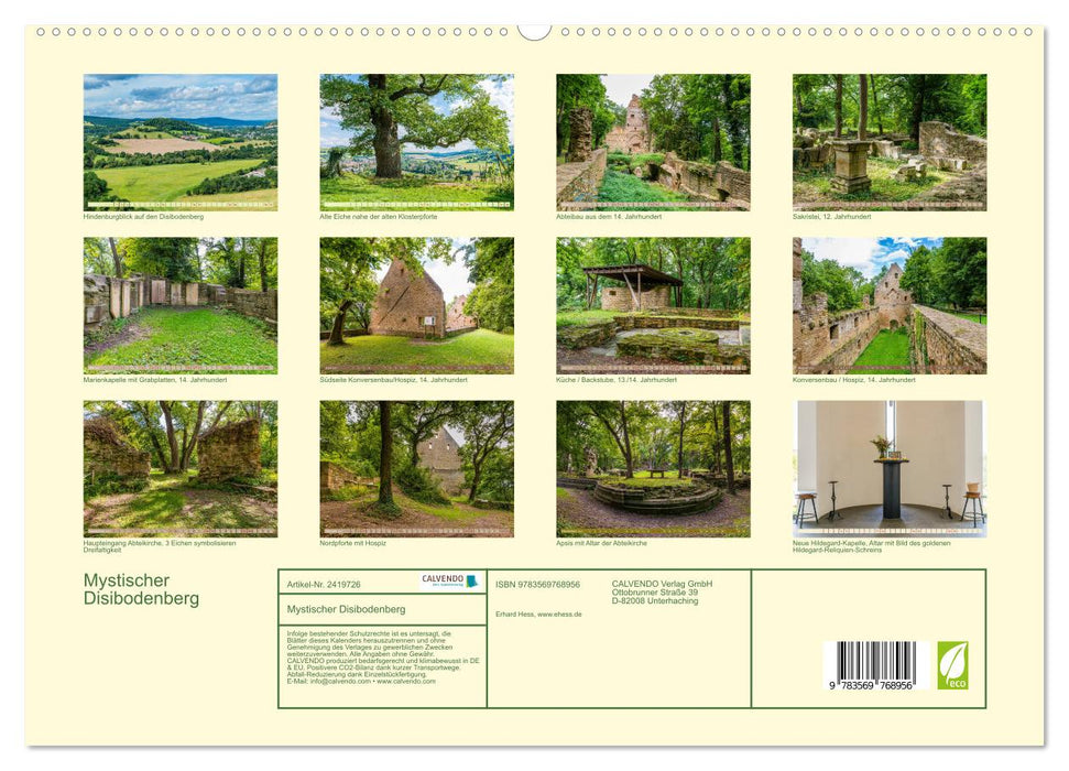 Mystischer Disibodenberg (CALVENDO Premium Wandkalender 2027)