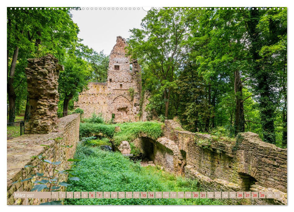 Mystischer Disibodenberg (CALVENDO Premium Wandkalender 2027)