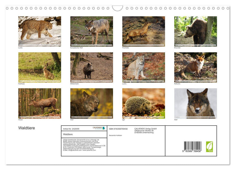Waldtiere (CALVENDO Wandkalender 2027)